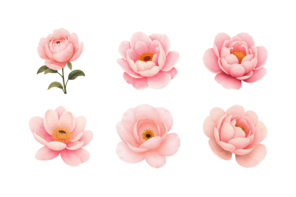 Elevate Designs with Pink Peony Flower Set
